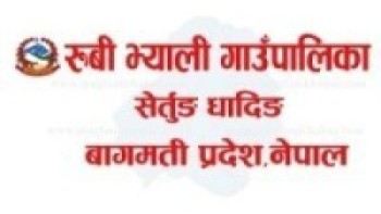 रुबिभ्याली गाउँपालिका : पहिरामा परी स्काभेटरसहित तीन बेपत्ताः खोजी कार्य जारी