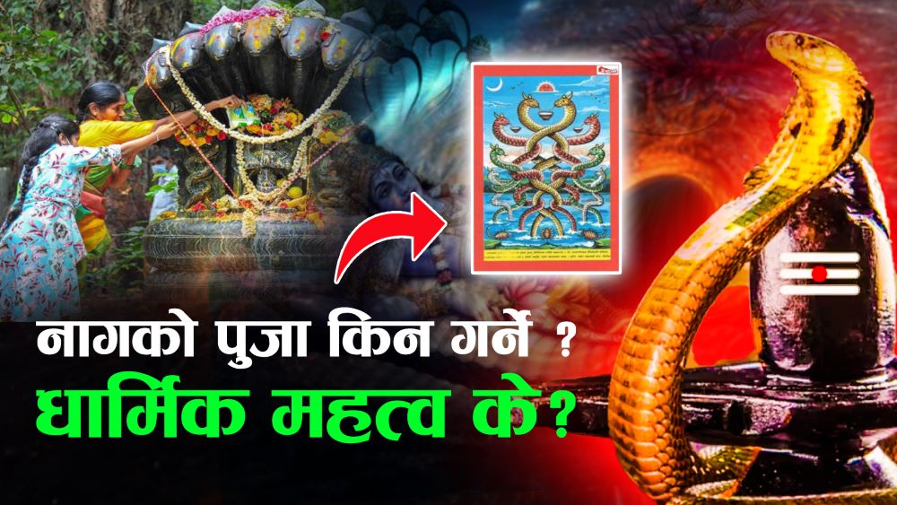 नागपूजा गर्ने तरिका र बिधिहरु के छन्?