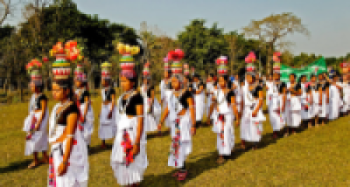 थारू बस्तीमा माघीको चटारो