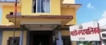 माडी नगरपालिका  सिल