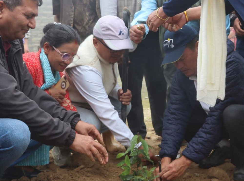 किरात ऐतिहासिकस्थल महुरेगढीलाई सौन्दर्यकरण गर्न गुराँसका बिरुवा रोपियो