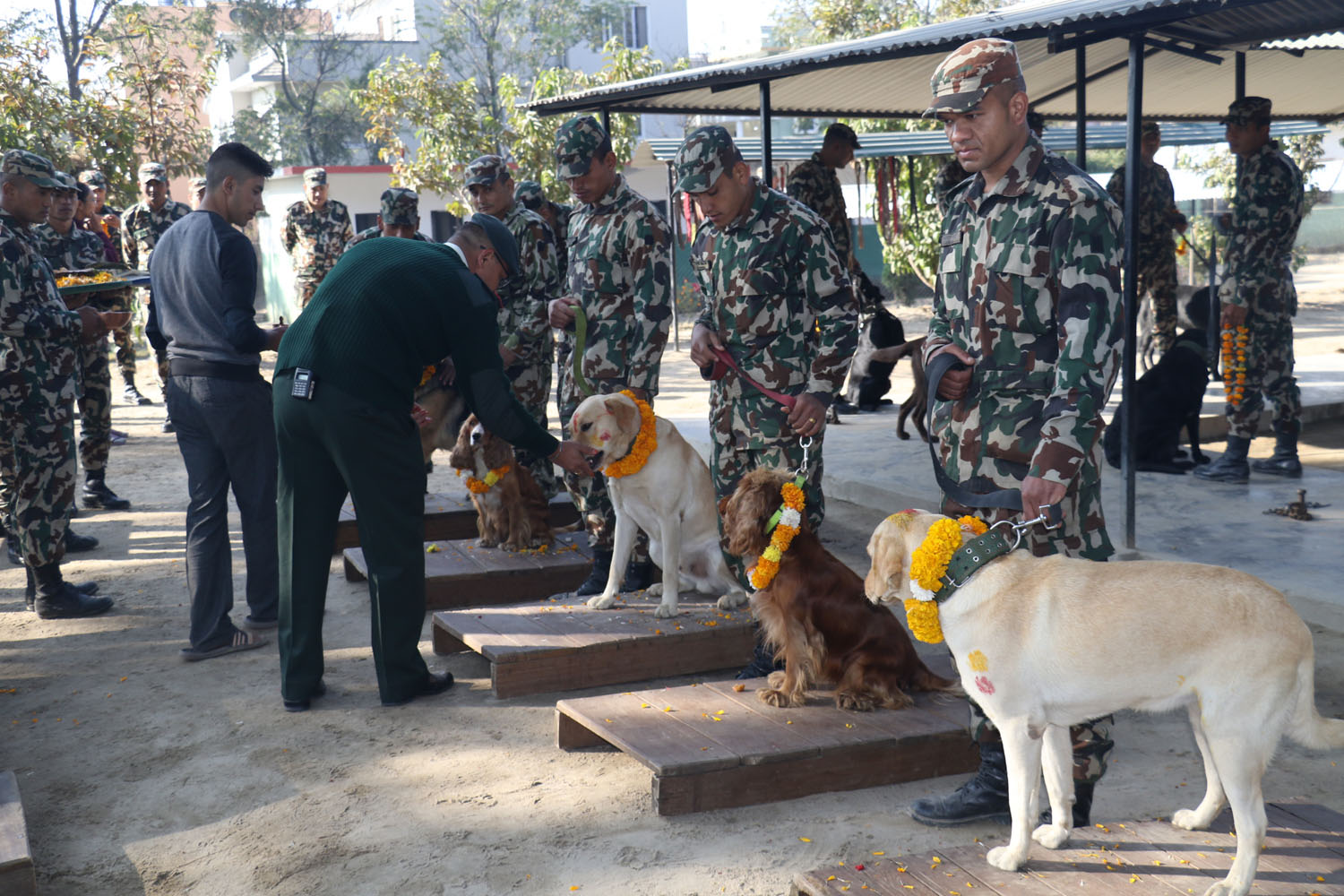 आज कुकुर तिहार,सर्बसाधारण जनता देखि सुरक्षा निकाय सम्मले पुजा गरि मनाउद