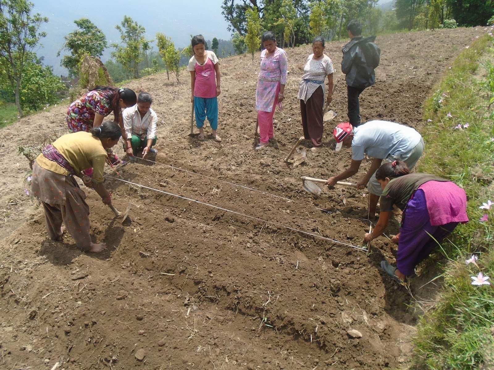 जसले विदेश त्यागेर कृषि रोजे