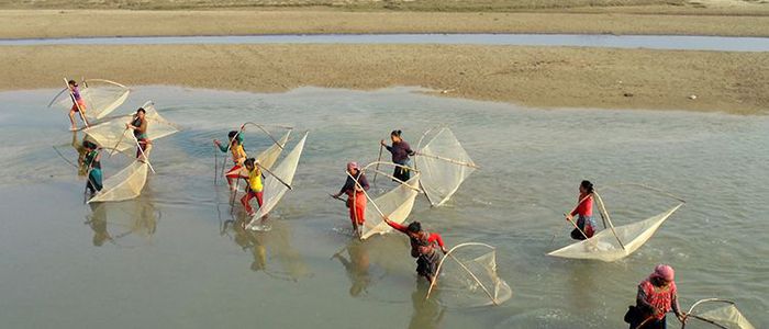 वैकल्पिक पेशातर्फ माझी, मुसहर र बोटे समुदाय