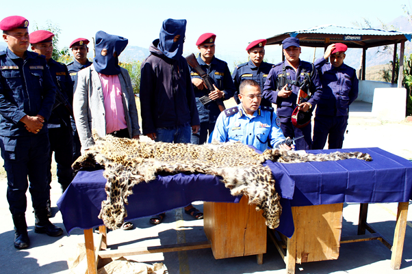 चितुवाको छाला सहित दुईजना पक्राउ