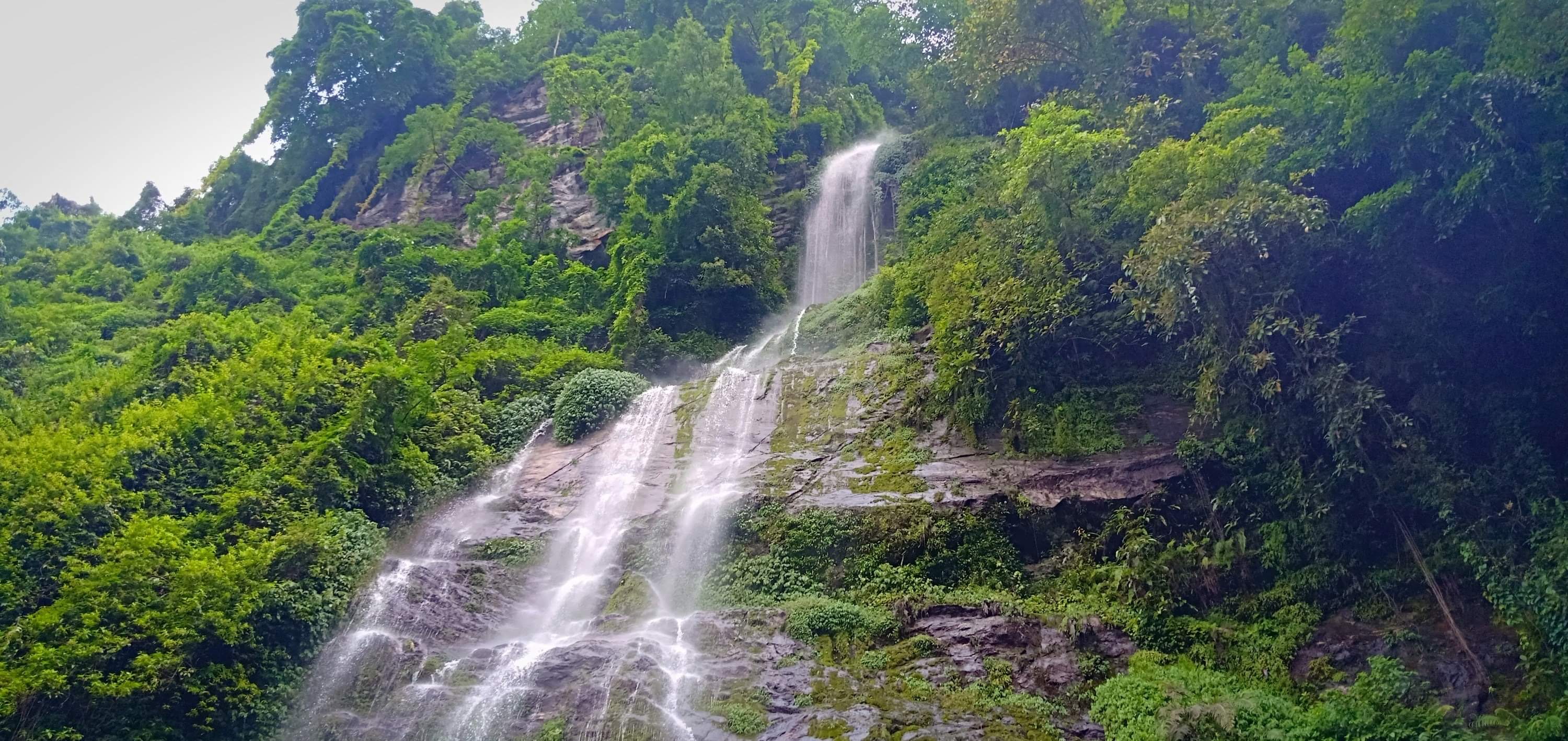 पन्ध्र प्रतिशत पर्यटक वृद्धि