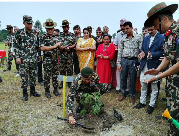 लिचीको बिरुवा रोपेर प्रधानसेनापतिद्वारा वृक्षरोपण उद्घाटन